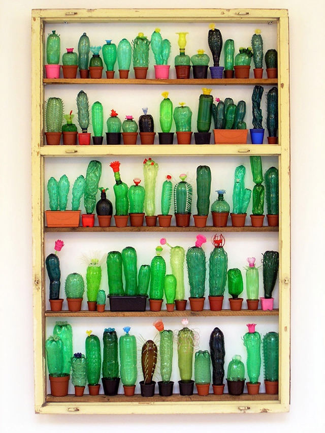 Cactos feitos com garrafas pet